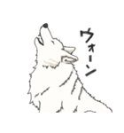 オオカミさんスタンプ詰め合わせ（個別スタンプ：17）