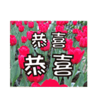 花 - 挨拶長老イラスト3.0（個別スタンプ：11）