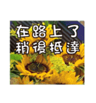 花 - 挨拶長老イラスト3.0（個別スタンプ：19）