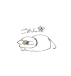とびみけのあお（個別スタンプ：40）