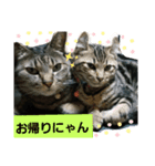 ちろる＆ちょこ（個別スタンプ：3）