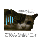ちろる＆ちょこ（個別スタンプ：8）