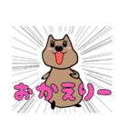 クアッカワラビー幸せスタンプ(日常使える)（個別スタンプ：12）