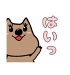 クアッカワラビー幸せスタンプ(日常使える)（個別スタンプ：15）