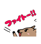 クアッカワラビー幸せスタンプ(日常使える)（個別スタンプ：30）