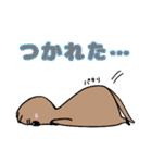 クアッカワラビー幸せスタンプ(日常使える)（個別スタンプ：36）