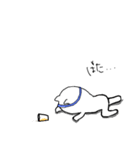 ねこのねこた（個別スタンプ：5）