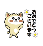 白い犬のスタンプ5（個別スタンプ：14）