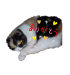 ❤みぃにゃんpart1❤️（個別スタンプ：8）