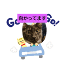 フィガロとカノン（個別スタンプ：4）