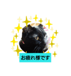 フィガロとカノン（個別スタンプ：5）
