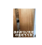 ザウルス3（個別スタンプ：3）