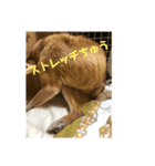 ザウルス3（個別スタンプ：6）