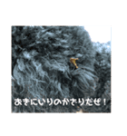 ザウルス3（個別スタンプ：7）