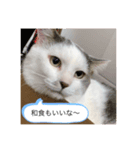 おもちときなこのスタンプ（個別スタンプ：3）
