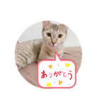 おもちときなこのスタンプ（個別スタンプ：5）