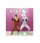 トラとウマ (tiger and horse)（個別スタンプ：3）