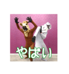 トラとウマ (tiger and horse)（個別スタンプ：13）