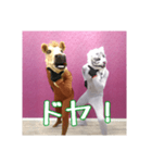 トラとウマ (tiger and horse)（個別スタンプ：17）