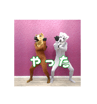 トラとウマ (tiger and horse)（個別スタンプ：22）