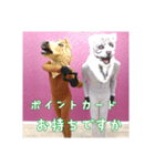 トラとウマ (tiger and horse)（個別スタンプ：24）