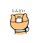 使いやすいくまさんスタンプ（個別スタンプ：35）