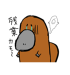 わいわい動物！4［カモノハシ］（個別スタンプ：4）
