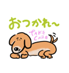 毎日使える いぬいくんスタンプ（個別スタンプ：3）