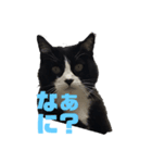 ジジ助［2]（個別スタンプ：3）