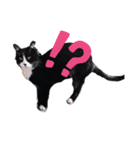 ジジ助［2]（個別スタンプ：5）