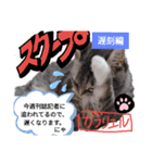 【ちくわ】と【ガブリエル】（個別スタンプ：3）