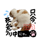 【ちくわ】と【ガブリエル】（個別スタンプ：4）