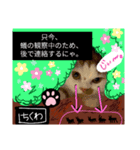 【ちくわ】と【ガブリエル】（個別スタンプ：5）