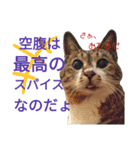 ぷる社長の1日（個別スタンプ：1）