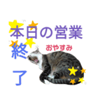 ぷる社長の1日（個別スタンプ：4）