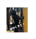 ザウルス4（個別スタンプ：8）
