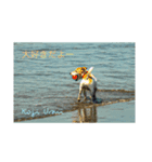 surf genkiの海のある暮らし（個別スタンプ：3）