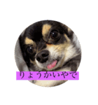 プラダくん（個別スタンプ：1）