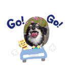 プラダくん（個別スタンプ：3）