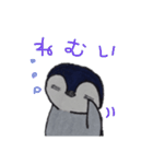ペンギンと毎日。（個別スタンプ：23）