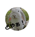 ラテマシュ！（個別スタンプ：2）