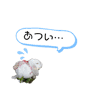 ラテマシュ！（個別スタンプ：6）