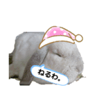 ラテマシュ！（個別スタンプ：8）