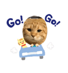 かわいいスコティッシュ（個別スタンプ：7）