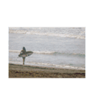 海のある暮らし4（個別スタンプ：1）