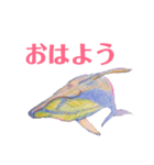 幸せのくじら（個別スタンプ：5）