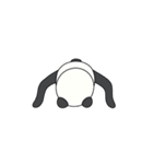 あほパンダ（個別スタンプ：36）