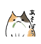 みけ猫のきもち（個別スタンプ：1）