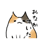 みけ猫のきもち（個別スタンプ：12）