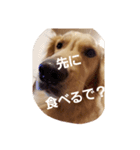 える②（個別スタンプ：8）